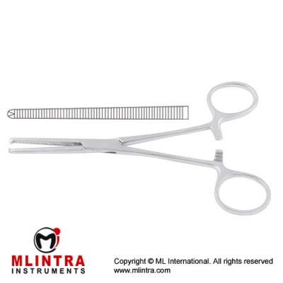 Ochsner-Kocher Haemostatic Forcep Straight - 1 x 2 Teeth Stainless Steel, 16.5 cm - 6 1/2"